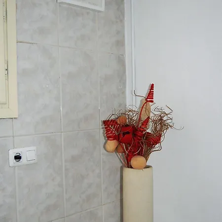 Rambla De Mar Appartement *